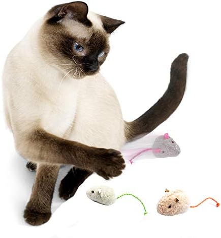 Cat Toys Set, Cat Retractable Teaser Wand, Catnip Fish, Interactive Cat Feather Toy, Mylar Crincle Balls, Two Cotton Mice, Four Fluffy Mouse - Image 5