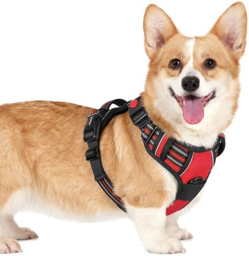 rabbitgoo Dog Harness Small Sized, Updated Easy On & Off with 3 Buckles by rabbitgoo