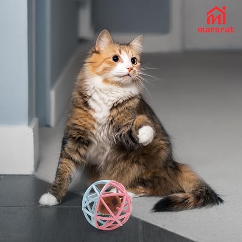 Squeaky Mouse Ball Cat Toy with Simulated Sound, Mouse Ball Cage, Squeky Balls for Cats to Play with Indoor, Plastic Squeak Interactive Funny Toys Best for Playing Chewing Training Chasing (Pink-Blue) - Image 5