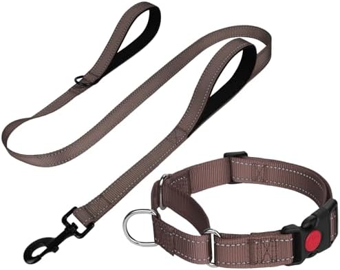 FunTags Martingale Dog Collar and Leash Set for Small Dogs, Locking Buckle by FUNSTARTSHERE