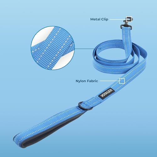 Best Pet Supplies Voyager Nylon Dog Leash - 6ft Baby Blue, Large - Image 2