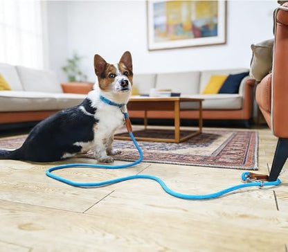 6 Foot Dog Tie Out Rope Leash, 1/2-In Indoor Training Tie Down - Image 5