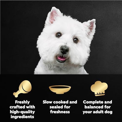 Cesar Filets Mini-Pouch Wet Dog Food, Grilled Chicken, 1.76 oz, 20 Count - Image 2