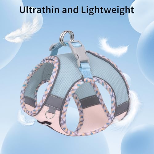 AIITLE Breathable Dog Harness Small Sized and Leash Set, Blue-Pink XXXS - Image 6