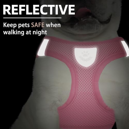 PUPTECK Dog Harness, Collar and Leash Set No Pull for Small Medium Sized - Image 5