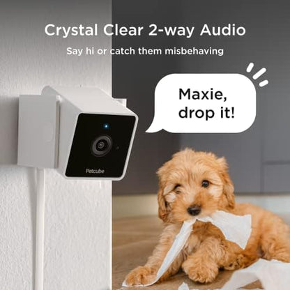 Petcube Cam – Indoor Wi-Fi Pet & Security Camera with App - Image 4