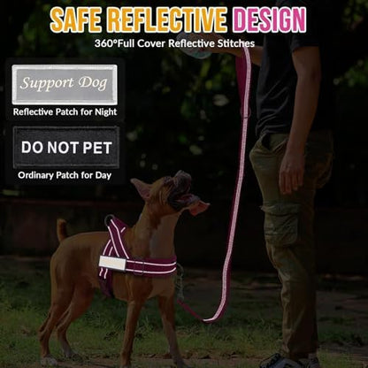 SlowTon No Pull Dog Harness and Leash Set - Heavy Duty, Soft Padded - Image 7
