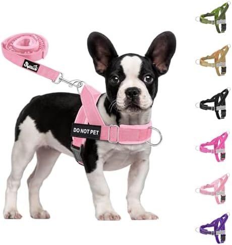 SlowTon No Pull Dog Harness and Leash Set - Heavy Duty, Soft Padded by SlowTon