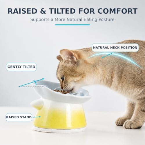 Slow Feeder Cat Bowl with Anti Slip Padfor Dry and Wet Food - Image 2