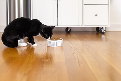 Pearhead Ceramic Cat Bowl, Holds 12 oz, Blue Dots - Image 5
