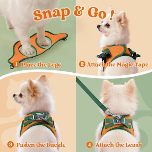 rabbitgoo Dog Harness Small Sized and Leash Set, Step in Soft Vest - Image 2