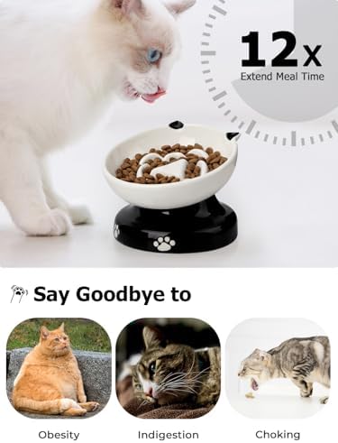 Y YHY Ceramic Cat Slow Feeder, Elevated Dog Food Bowl Tilted Design, Slow Feeder Bowl no Black Chin, Cat Shape for Dry and Wet Food - Image 6