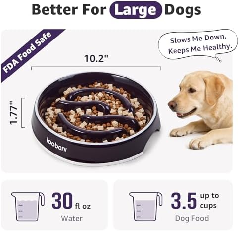 LOOBANI 3.5 Cups Ceramic Slow Feeder Dog Bowls Large Dogs with Grip Handles - Image 2
