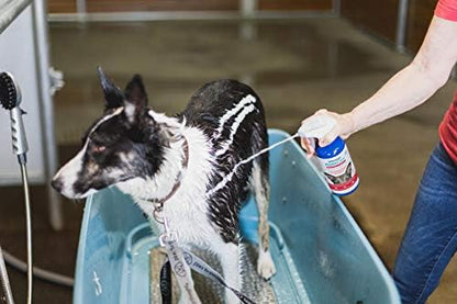 Vetericyn FoamCare Medicated Dog Shampoo - Instant Foaming, Spray-On Hypoallergenic Shampoo, Medicated Formula for Sensitive Skin, Safe for Dogs and Cats. 16 Ounce - Image 2