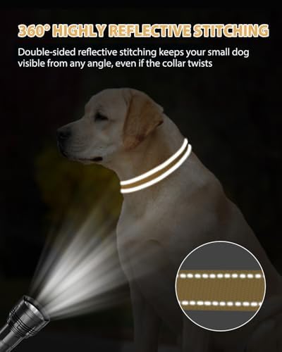 Joytale Feather-Light Dog Collar for Medium & Large Dogs, 1", Khaki - Image 5