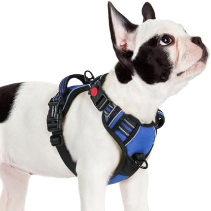 rabbitgoo Dog Harness Small Sized, Updated Easy On & Off with 3 Buckles by rabbitgoo