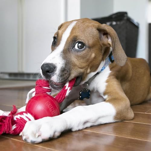 Kong Ball with Rope, Natural Rubber Fetch and Tug Toy, Red, for Small Dogs - Image 3