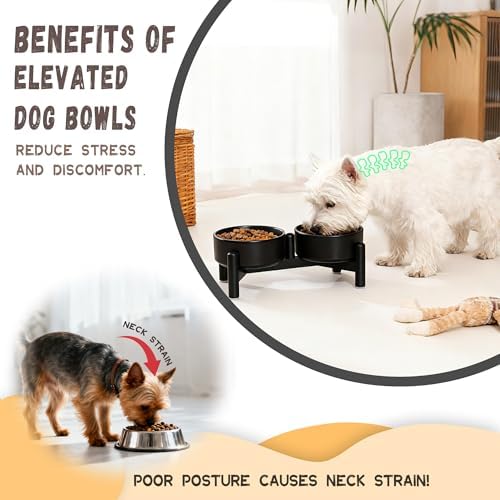 Raised Ceramic Dog Bowl Set with Stand, 1.6 Cups Elevated Dog Food Stand - Image 7