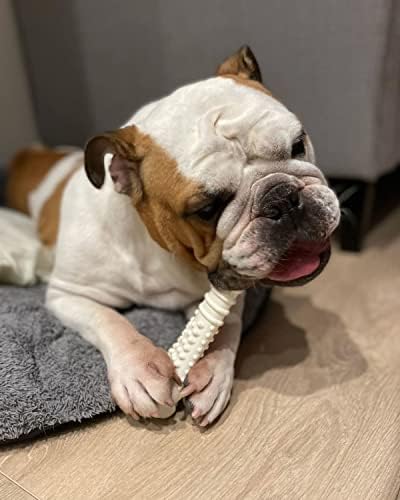 Nylabone Power Chew Textured Knuckle Bone Dog Toy, Chicken Flavor, X-Large - Image 2