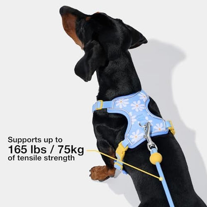 VETRESKA Crossbody Hands Free Dog Leash, 5FT Adjustable Leash (Daisy) - Image 2