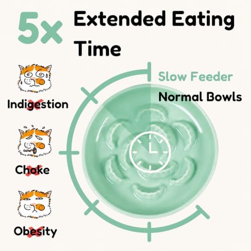 Ceramic Cat Slow Feeder Bowl - 6.2'' Whisker Friendly Cat Plate for Dry and Wet Food - Heavy Puzzle Feeding Bowl for Slow Eating - Helps Reduce Vomiting - Microwave & Dishwasher Safe -Non Slip - Green - Image 3