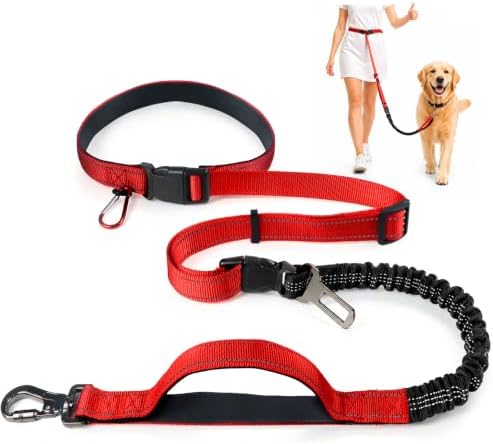 PETCARE 4 in 1 Hands Free Dog Leash with Car Seatbelt Buckle, Shock Absorbing Bungee Dog Waist Leash Belt for Running Walking Hiking, Dual Handles & Reflective, Adjustable for Small Medium Large Dogs by PETCARE