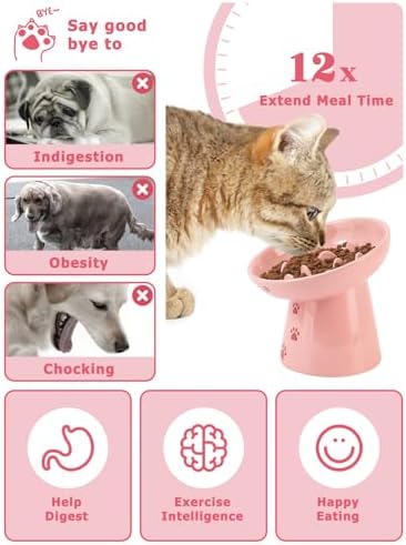 Y YHY 6 Inch Slow Feeder Bowl, Elevated Dog & Cat Bowl, Ceramic, Anti Vomiting, Pink - Image 2