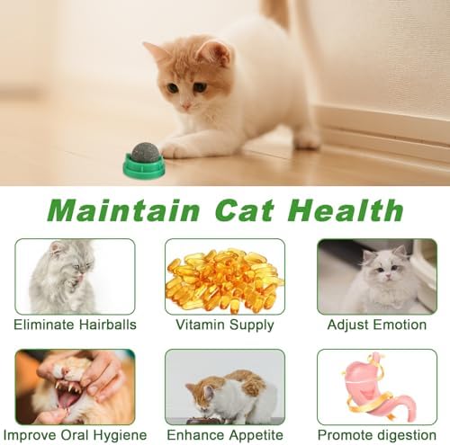 KIMOBER 6 Pack Catnip Ball for Cats,Edible Kitten Chew Toys with Catnip Silvervine Gall Fruit Flavors for Cats Lick Dental Teeth Cleaning Cats Wall Treats - Image 7