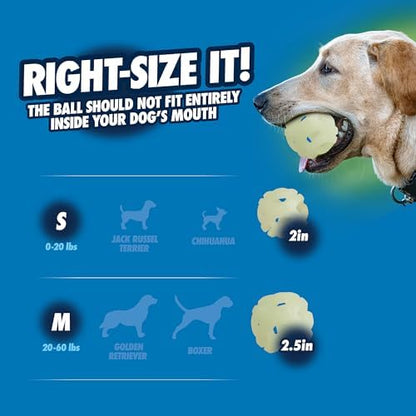 Chuckit! Air Glow Fetch Ball Dog Toy, Small 2in 2 Pack - Image 6