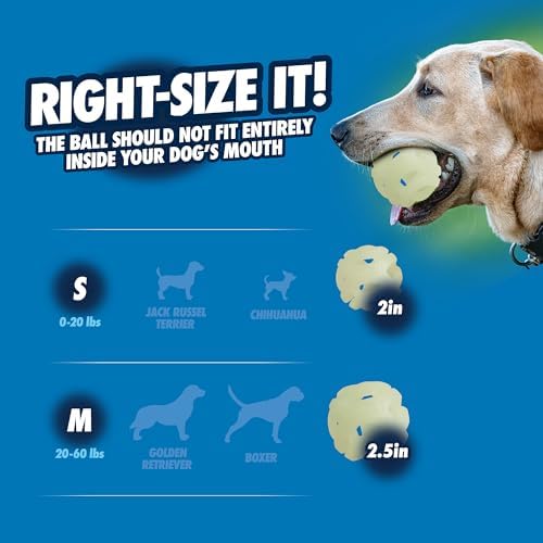 Chuckit! Air Glow Fetch Ball Dog Toy, Medium (2.5 Inch) Pack of 2, for Breeds 20-60 lbs - Image 6