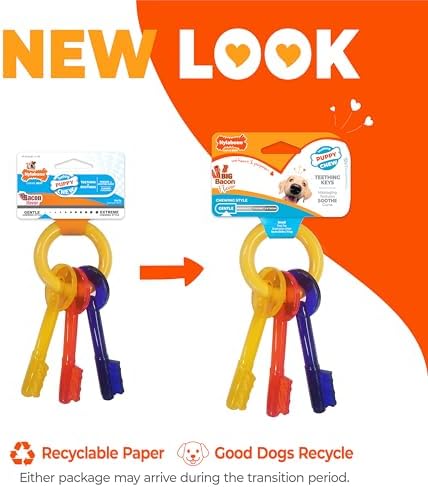 Nylabone Puppy Chew Teething Key Ring Dog Chew Toy, Bacon Flavor, Small - Image 2