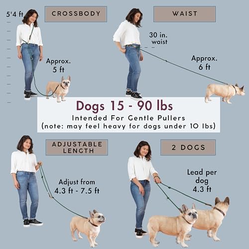Hands Free Dog Leash, Waist Leash for Dog Walking, Crossbody, Multifunctional, Red Dog Lead, Running, 2 Dogs, Dual Handle, Dog Training, Adjustable Lead 4.3ft - 7.5ft, 3/8" (10mm) Diameter. - Image 3
