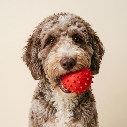 Playology Spiky Chew Ball Dog Toy with Squeaker - Medium, Beef Scent - Image 3