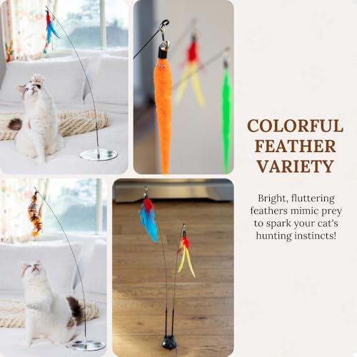Cat Toys for Indoor Cats, Interactive Cat Toy Wand, Kitten Stuff, 9 Lures - Image 4