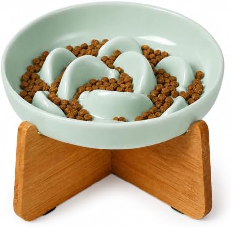 Elevated Slow Feeder Cat Bowl - Melamine Cat Food Plate with Anti-Slip Bamboo Stand - Whisker Friendly Feeding Bowl - Raised Maze Dish for Slow Eating - Mint Green by PTOBER