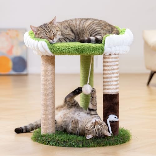Woochpet Cat Scratching Post with Cat Bed,Cat Scratcher Tree,Small Cat Tree by WOOCHPET