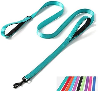 Double Handle Dog Leash 6ft, Reflective Nylon with Padded for Extra Control Outside Durable Training Lead for Small Medium Large Breed Pet Dogs, 1-Inch Width, Teal by YOUALSO