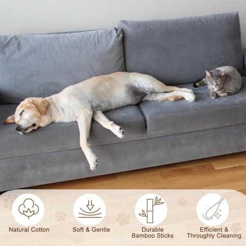 eyxformula Dog Ear Cleaning Swabs, 2 Size Cotton Tips, 100 Long & 100 Large - Image 5