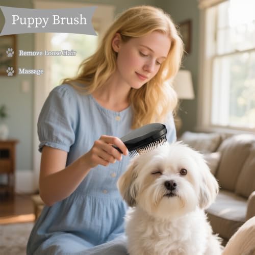 Comma-Shaped Small Dog Brush, Puppy Essentials (Black) - Image 6