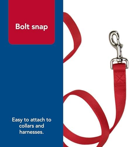 Coastal Pet Double-Ply Dog Leash - Bolt Snap Attachment to Collars and Harnesses - Nylon Dog Walking Leash for Small, Medium and Large Dogs - Red - 1" x 4' - Image 5