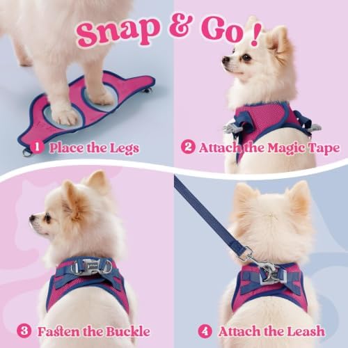 rabbitgoo Dog Harness Small Sized and Leash Set, Step in Soft Vest - Image 2