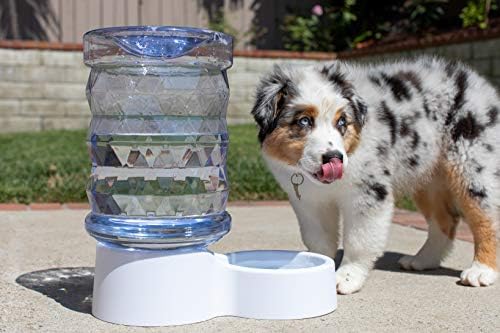 PetFusion H2O Gravity Pet Water Dispenser, 2.5 Gallon, Transparent - Image 2