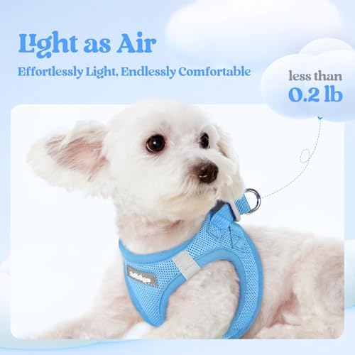 rabbitgoo Dog Harness Small Sized and Leash Set, Step-in Puppy Pet Vest - Image 4
