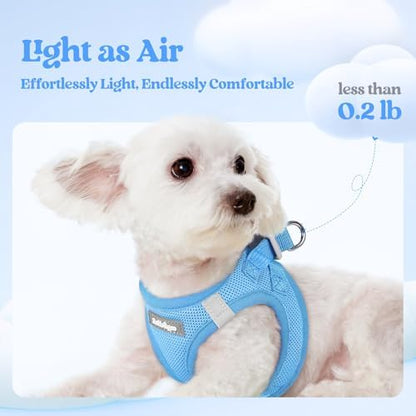 rabbitgoo Dog Harness Small Sized and Leash Set, Step-in Puppy Pet Vest - Image 4