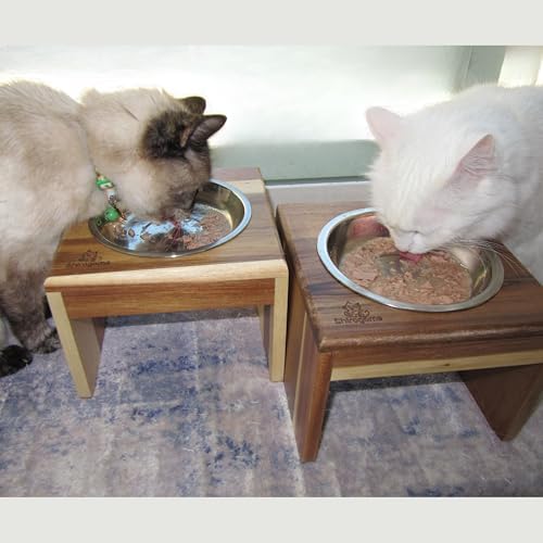 Raised Cat Bowls, 6.25 in Wide, 6" Elevated Cat Feeding Stand (with 2 Stainless Steel Bowls: 12 oz/1.5 Cup), Small Dogs, Rabbits, Anti-Vomit, Whisker Friendly, 6 x 8 x 8 in, Acacia Wood - Image 6