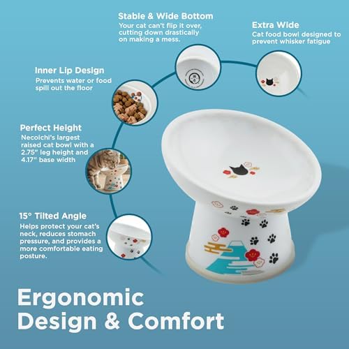 Necoichi Ceramic Elevated Cat Food Bowl, 15° Tilted (Fuji, Regular Tilted) - Image 5