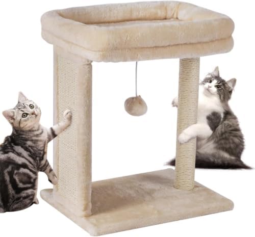 SYANDLVY Small Cat Tree for Indoor Cats, Scratching Board with Perch by SYANDLVY