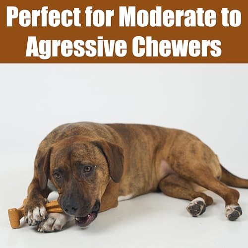 SPOT Bam-Bones Plus T Bone - Bamboo Fiber & Nylon, Durable Long Lasting Dog Chew for Aggressive Chewers – Toy for Dogs & Puppies Under 60lbs, Non-Splintering, 6in, Allergen Free Peanut Butter Flavor - Image 5