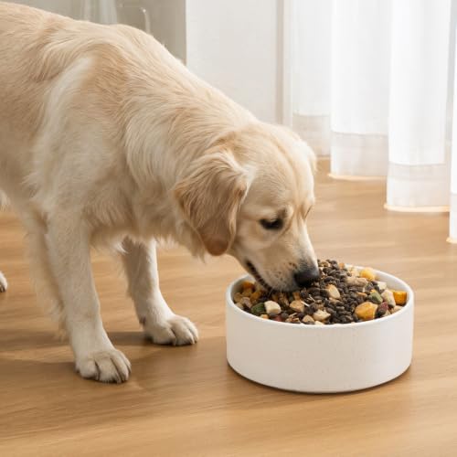 6'' Ceramic Dog Bowl - 30Oz Classic Dogs Food & Water Bowl for Small and Medium Breed Dogs, Heavy Duty Non-Slip Dog Dishes, Food Grade Pet Bowl, Dishwasher & Microwave Safe, Speckled White - Image 5