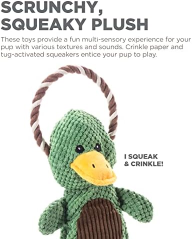 Outward Hound Scrunch Bunch Duck Interactive Plush Squeaky Dog Tug Toy - Image 5